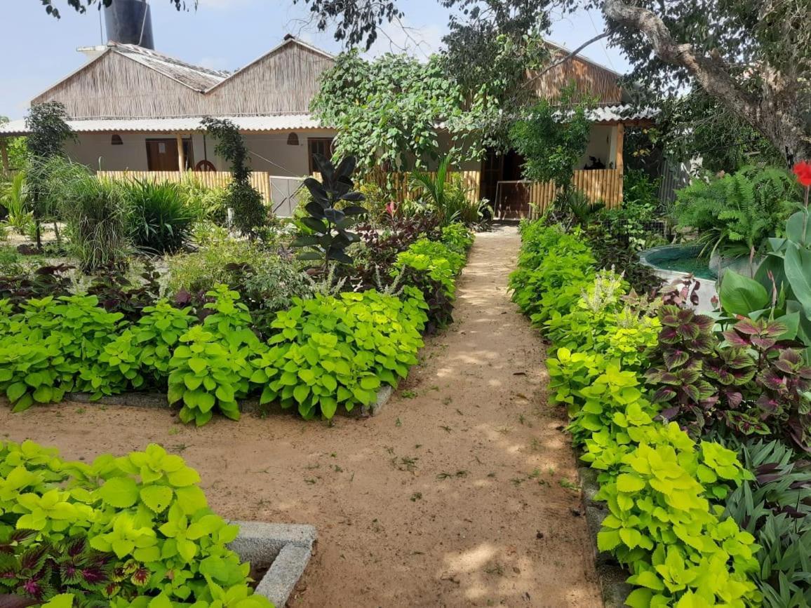 Beach Lagoon Parans Arugam Bay Exterior foto
