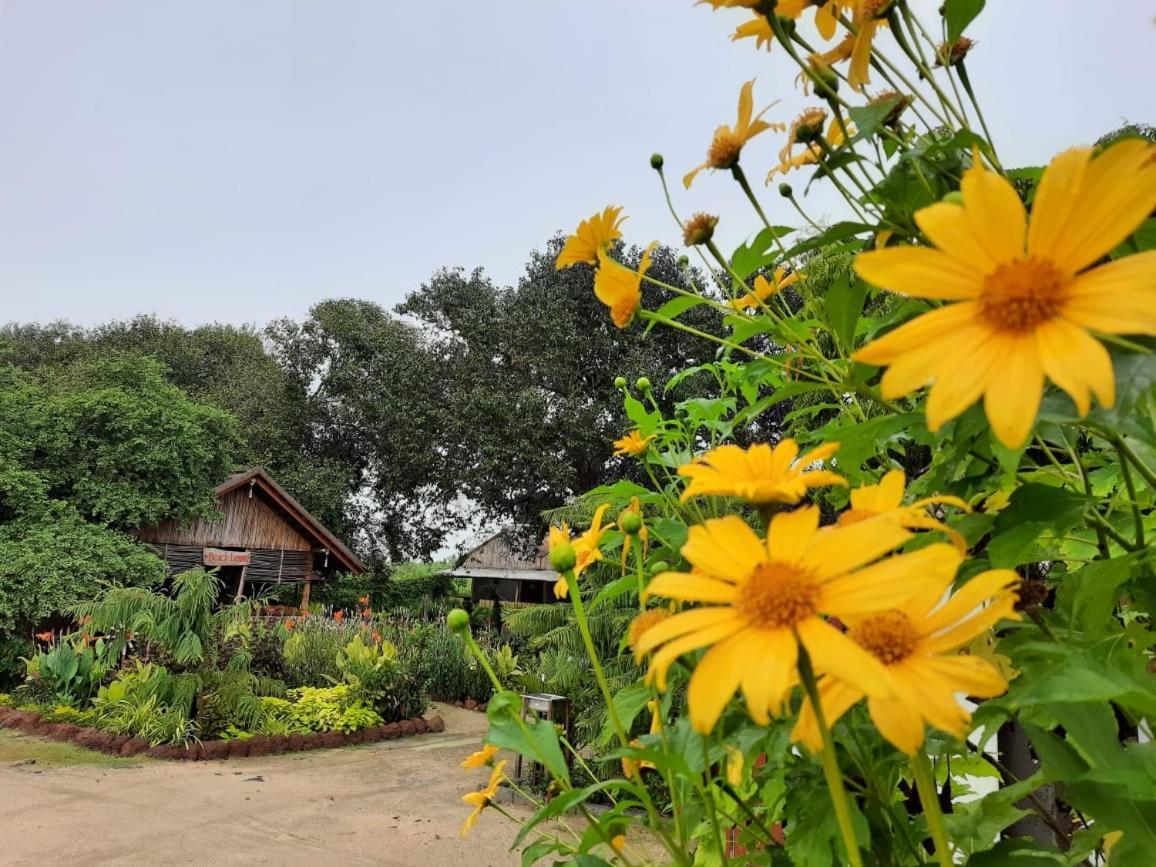 Beach Lagoon Parans Arugam Bay Exterior foto