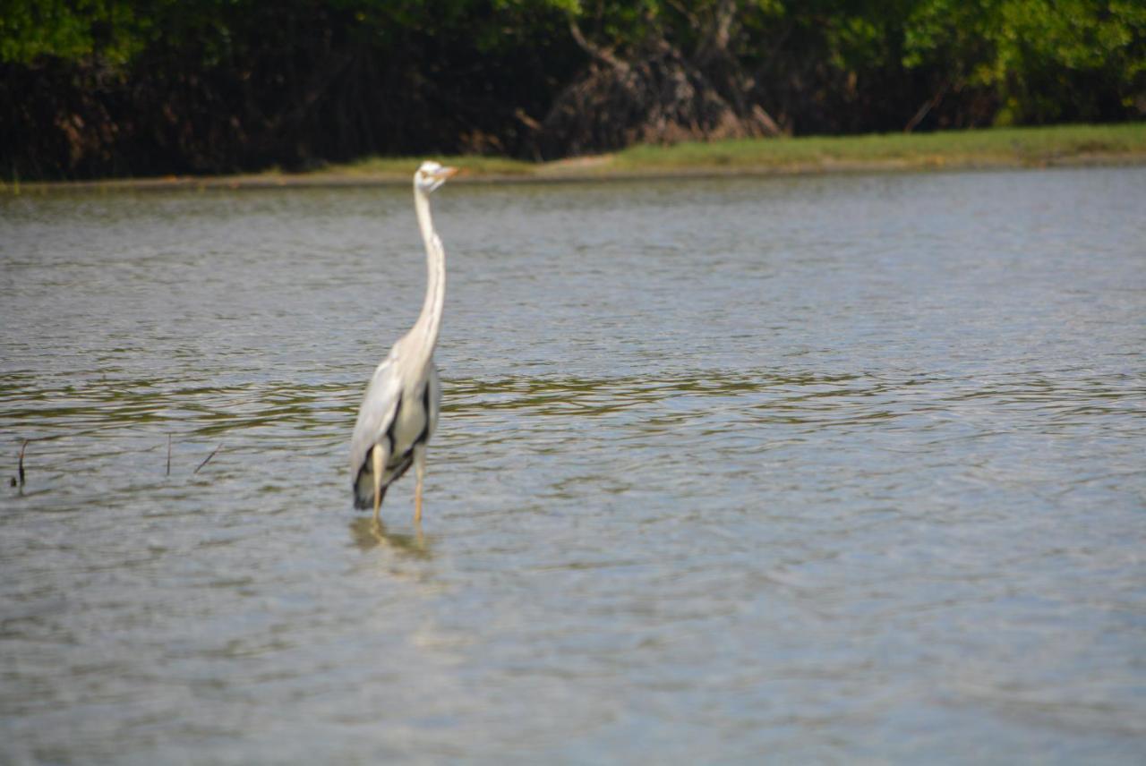 Beach Lagoon Parans Arugam Bay Exterior foto